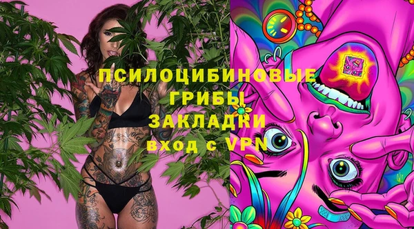 сатива Алзамай