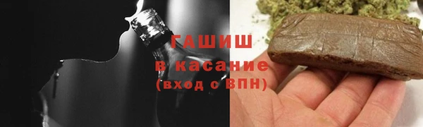 сатива Алзамай