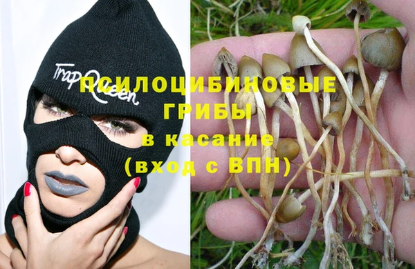 меф Алексеевка