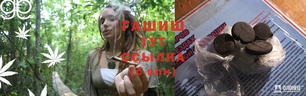 прущие грибы Абинск
