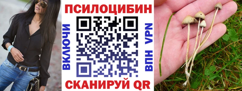 где купить Волжский KRAKEN зеркало Галлюциногенные грибы прущие грибы
